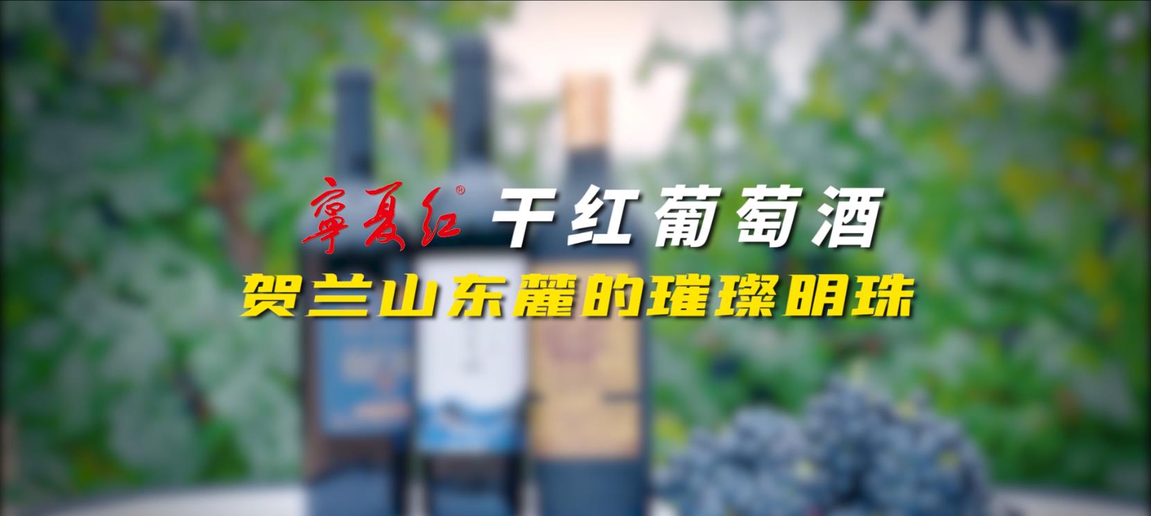 利来w66最给利干红葡萄酒系列